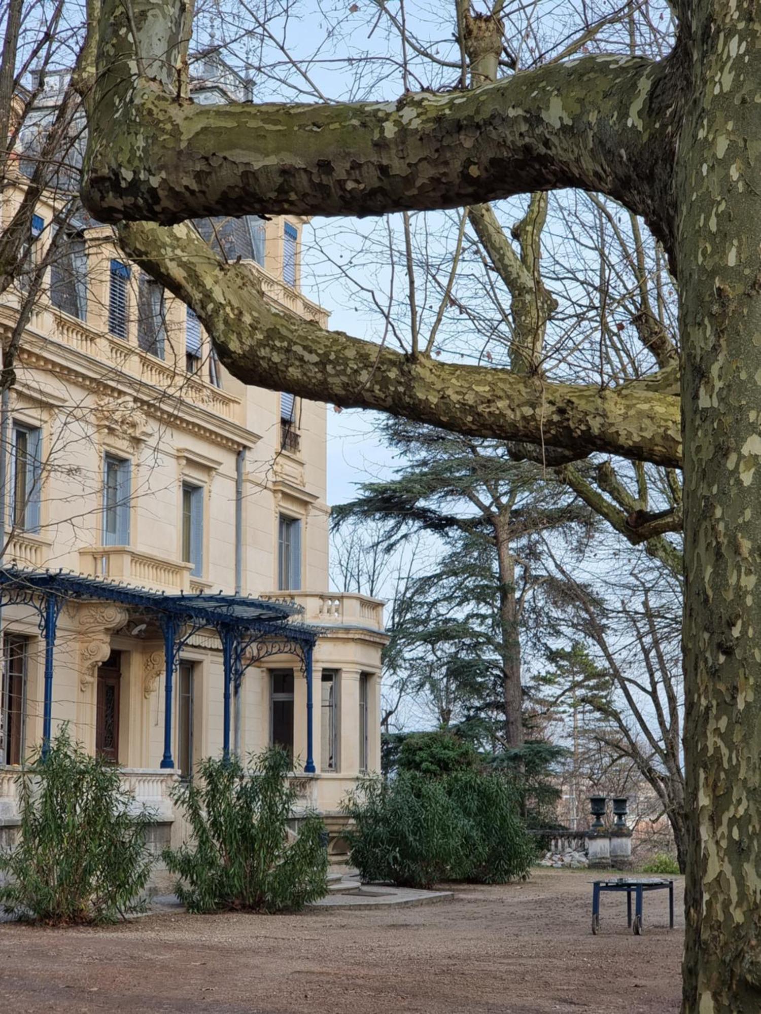 Hotel-Musee Villa Bagatelle Irigny Exteriér fotografie